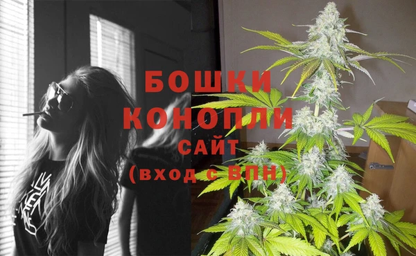 СК Каменка