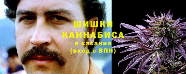 гашик Белоозёрский