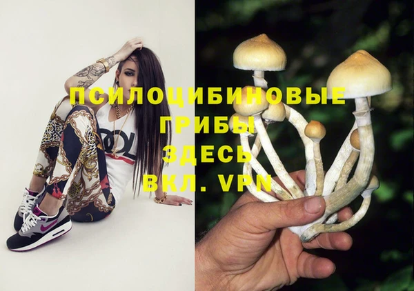MDMA Белокуриха