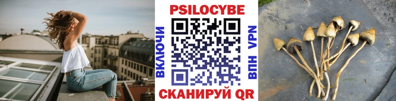 Галлюциногенные грибы мицелий  Покровск 